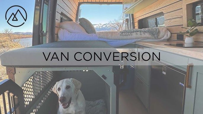 Ein heller Hund in einer Transportbox in einem umgebauten Camper-Van.